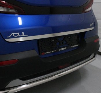 Накладка на заднюю дверь, ТСС Тюнинг KIA Soul SK3 (2018-2022) (лист шлифованный)