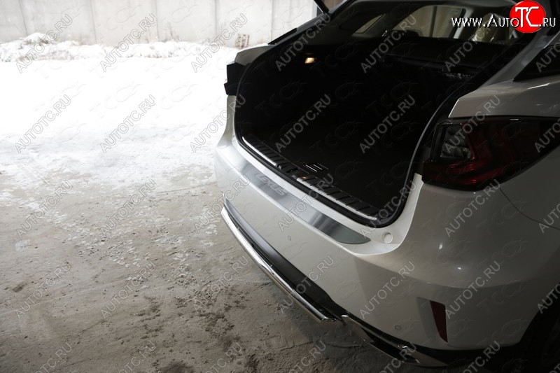 4 399 р. Накладка на задний бампер, ТСС Тюнинг  Lexus RX  200T - RX450H  AL10 (лист шлифованный надпись Lexus)  с доставкой в г. Кемерово