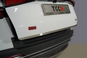 Накладка на заднюю дверь, ТСС Тюнинг Omoda C5 (2021-2025) (лист шлифованный)