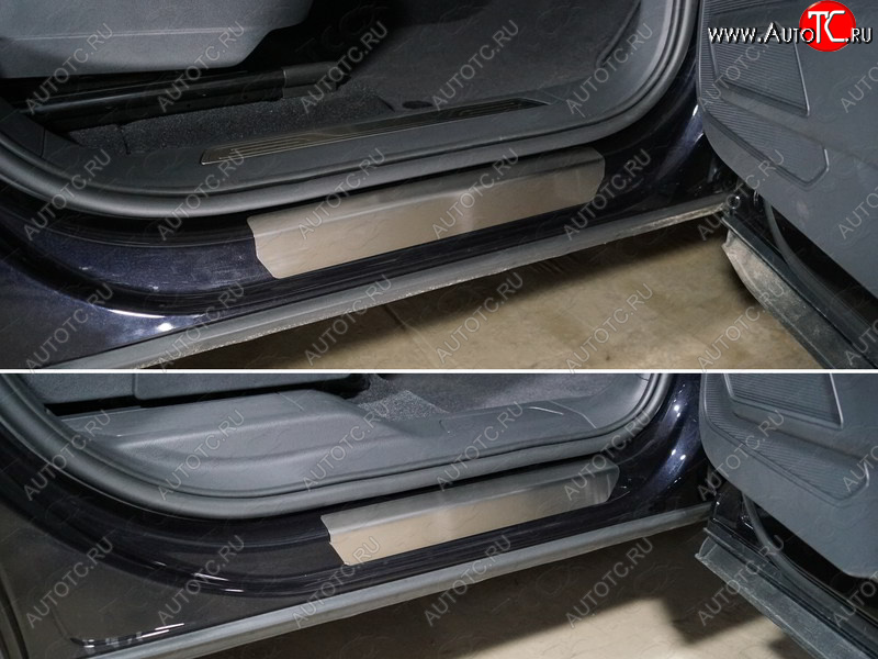 3 999 р. Накладки на пороги, ТСС Тюнинг  Volkswagen Teramont  CA1 (2016-2020) дорестайлинг (лист шлифованный)  с доставкой в г. Кемерово