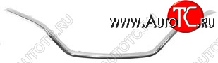 3 069 р. KAPTUR МОЛДИНГ РЕШЕТКИ РАДИАТОРА ХРОМ (Китай) BODYPARTS rnktr16-121  с доставкой в г. Кемерово