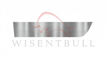 Ремкомплект левой двери Wisentbull BMW 3 серия  E92 (2005-2014) купе дорестайлинг, купе рестайлинг