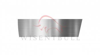Ремкомплект левой двери Wisentbull BMW 5 серия  E39 (1995-2003) седан дорестайлинг, седан рестайлинг