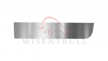 Ремкомплект левой двери Wisentbull Chrysler Town and Country  NS, GS минивэн (1995-2000), Chrysler Voyager  GS минивэн (1995-2000), Dodge Caravan (1996-2000)