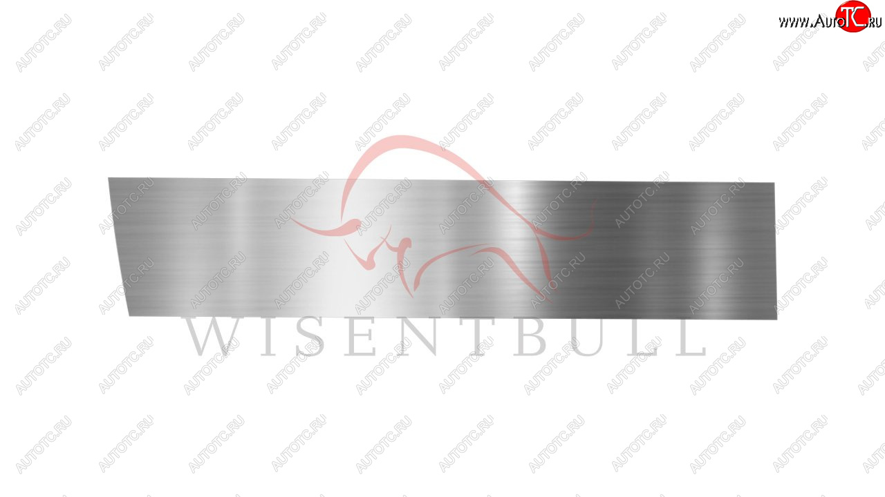 1 989 р. Ремкомплект левой двери Wisentbull  CITROEN C3  FC/FN (2002-2009) хэтчбэк  с доставкой в г. Кемерово