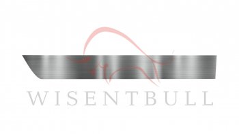 Ремкомплект левой двери Wisentbull Chevrolet Camaro (2008-2016) дорестайлинг, рестайлинг