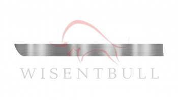 Ремкомплект левой двери Wisentbull Honda Stream ( 1 RN1,RN3,  1 RN2,RN4, RN1, RN3, RN5) (2000-2006)  дорестайлинг, рестайлинг