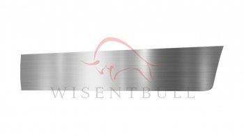 Ремкомплект левой двери Wisentbull Hyundai Lantra ( J2,  J3) (1995-2000) седан дорестайлинг, седан рестайлинг