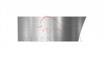 Ремкомплект левой двери Wisentbull Mercedes-Benz ML class  W163 (1997-2005) дорестайлинг, рестайлинг