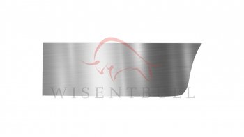 Ремкомплект левой двери Wisentbull Mitsubishi Lancer ( 7,  8) (1991-2000) седан, дорестайлинг седан, рестайлинг седан