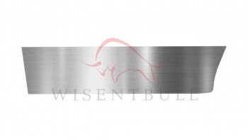 Ремкомплект левой двери Wisentbull Peugeot 406 ( 8B,  8E,F) (1995-2004) седан дорестайлинг, универсал дорестайлинг, седан рестайлинг, универсал рестайлинг
