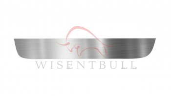 Ремкомплект левой двери Wisentbull Renault Clio  CB (1998-2012) дорестайлинг, хэтчбэк 3 дв., рестайлинг, хэтчбэк 3 дв.