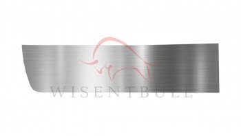 Ремкомплект левой двери Wisentbull Mercedes-Benz Citan  W415 (2012-2019), Renault Kangoo  KW0 (2008-2016)