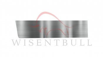 Ремкомплект левой двери Wisentbull Renault Sandero  (BS) (2009-2014)