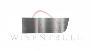 Ремкомплект левой двери Wisentbull Renault Sandero  (BS) (2009-2014)