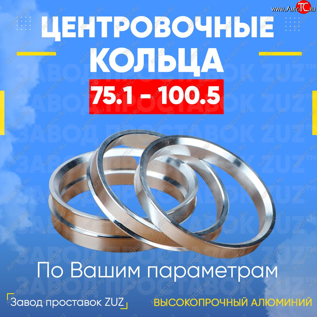 1 849 р. Центровочные кольца для дисков 75.1 - 100.5 (алюминиевые) 4шт. переходные центрирующие проставочные супинаторы на ступицу ЗАВОД ПРОСТАВОК ZUZ 75.1 - 100.5  с доставкой в г. Кемерово