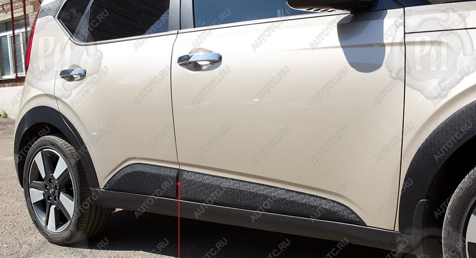 789 р. Молдинг двери задний правый Русская Артель  KIA Soul  SK3 (2018-2022) (шагрень)  с доставкой в г. Кемерово