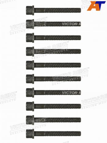 Комплект болтов  ГБЦ VAG 80100A6PASSAT AAMAAEAADABK VICTOR REINZ 14-32046-01