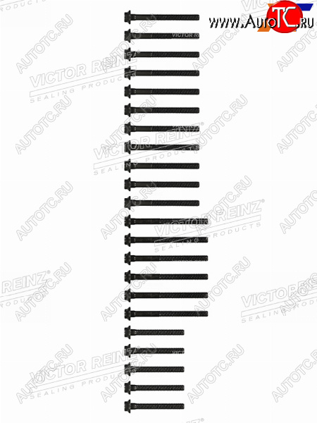 2 899 р. Комплект болтов  ГБЦ MBSSANGYONG  E(W210)G(W461W463)SPRINTER KORANDO OM662 VICTOR REINZ 14-32031-02  с доставкой в г. Кемерово