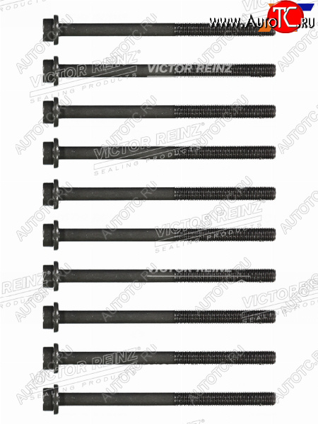 3 599 р. Комплект болтов ГБЦ FORD FOCUSC-MAXMONDEO QQDBAODAAODBSEBAAOBCAOBATBBA VICTOR REINZ 14-32207-01  с доставкой в г. Кемерово