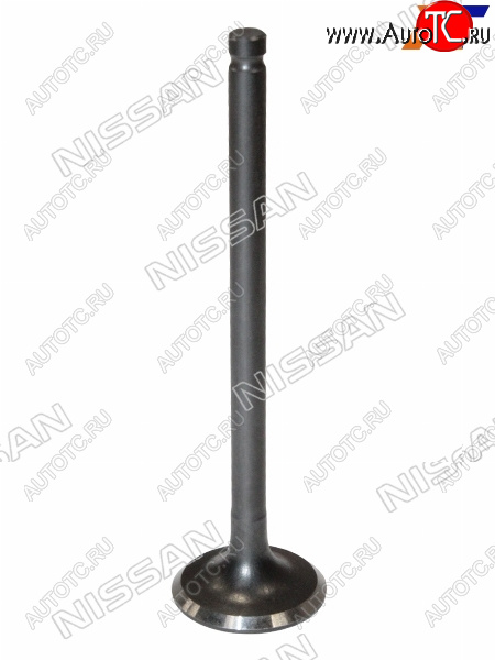 1 779 р. Клапан выпускной NISSAN ALMERA 06-12  QG16 NISSAN 13202-95F0B  с доставкой в г. Кемерово