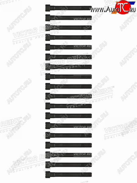3 199 р. Комплект болтов ГБЦ MITSUBISHI PAJEROL200 4D56 VICTOR REINZ 14-55015-01  с доставкой в г. Кемерово