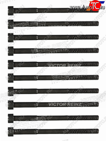 2 499 р. Комплект болтов ГБЦ TOYOTA 1-4ZZFE (10 штук) VICTOR REINZ 14-55035-01  с доставкой в г. Кемерово