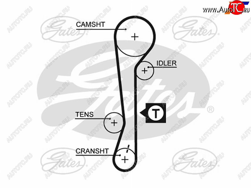 1 449 р. Ремень ГРМ HYUNDAI ACCENT 1.61.4 16V 06-KIA RIO1.41.6 16V 05-11CERATO 04-09 GATES 5479XS  с доставкой в г. Кемерово