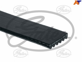 2 099 р. Ремень поликлиновой HYUNDAI SOLARISCRETAKIA RIO-11CERATO 06-(с ГУР)HONDA ACCORD 06-ODYSSEY 04- GATES 6PK2138  с доставкой в г. Кемерово. Увеличить фотографию 1