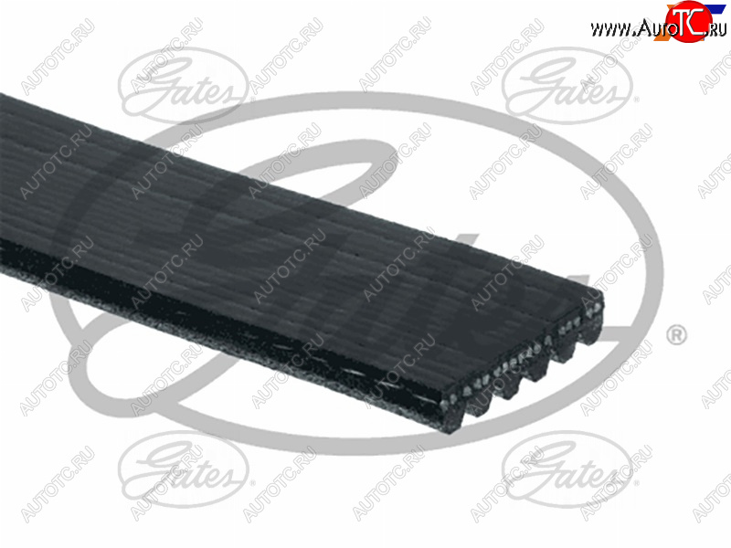 2 099 р. Ремень поликлиновой HYUNDAI SOLARISCRETAKIA RIO-11CERATO 06-(с ГУР)HONDA ACCORD 06-ODYSSEY 04- GATES 6PK2138  с доставкой в г. Кемерово
