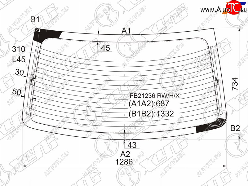 7 999 р. Стекло заднее (Цвет зеленый Обогрев) Hyundai Elantra 00-09  Avante 00-06 XYG FB21236 RW/H/X  с доставкой в г. Кемерово
