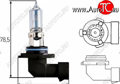 88 р. H10 (12V-42W  PY20D) ЛАМПА УПАКОВКА (1 шт) BLICK BODYPARTS lph1000-980-o  с доставкой в г. Кемерово