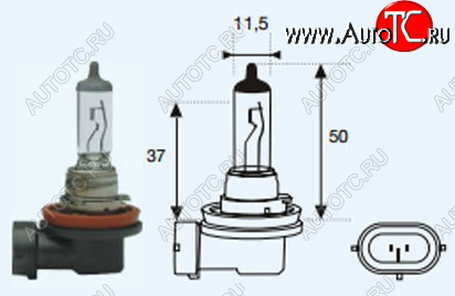 131 р. H8 (12V-35W  PGJ19-1) ЛАМПА УПАКОВКА (1 шт) BLICK BODYPARTS lp0h800-980-o  с доставкой в г. Кемерово