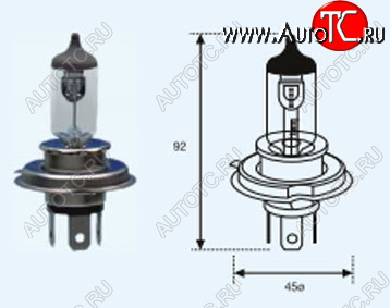 168 р. H4 (12V-60-55W  P43T) ЛАМПА УПАКОВКА (1 шт) SELUM BODYPARTS lp0h400-980-o  с доставкой в г. Кемерово
