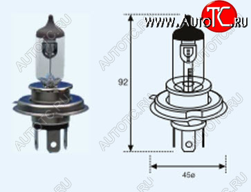 212 р. H4 (12V-60-55W  P43T Long Life) ЛАМПА УПАКОВКА (1 шт) SELUM BODYPARTS lp0h400-981-o  с доставкой в г. Кемерово