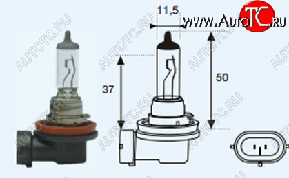 131 р. H11 (12V-55W  PG19-2) ЛАМПА УПАКОВКА (1 шт) BLICK BODYPARTS lph1100-980-o  с доставкой в г. Кемерово