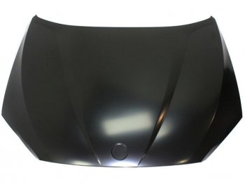 X1 КАПОТ (Тайвань) TYG bm0x109-330