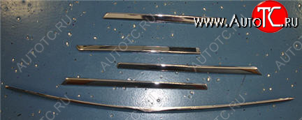 5 249 р. W163ML МОЛДИНГ РЕШЕТКИ РАДИАТОРА (5шт) (комплект) ТЮНИНГ (Тайвань) ХРОМ API md16398-120h  с доставкой в г. Кемерово