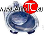 3 289 р. Правая противотуманная фара DEPO  BMW X5  E53 (1999-2003) дорестайлинг  с доставкой в г. Кемерово