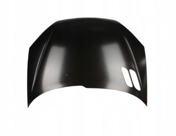 206 КАПОТ (Тайвань) TYG pg20698-330