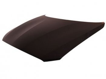 F20 {F21} КАПОТ (Тайвань) TYG bmf2011-330