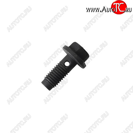 150 р. Болт форсунки охлаждения поршня QSM, ISM, M11 3070393 CUMMINS 14075  с доставкой в г. Кемерово