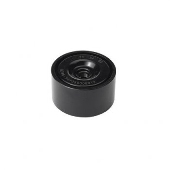 Ролик промежуточный WP7 610800060494 CUMMINS 50244