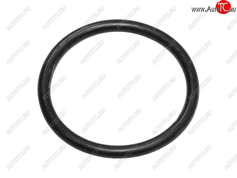 349 р. Кольцо уплотнительное лобовины малое NISSAN QR25DE NISSAN 15066-6N202  с доставкой в г. Кемерово