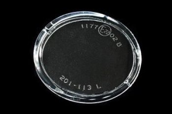 439 р. P12 02- {ALMERA 02-MICRA 02-QASHQAI 09-TEANA 08-LAGUNA 01-CLIO 01-} СТЕКЛО ФАРЫ ПРОТИВОТУМ ЛЕВ BodyParts nnp1202-080-l  с доставкой в г. Кемерово. Увеличить фотографию 1