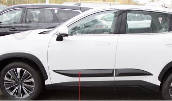 Молдинг двери задний левый Русская Артель Jetour Dashing (2022-2025) (глянец под покраску)