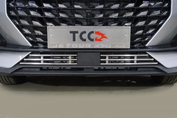 Декоративная вставка переднего бампера ТСС Тюнинг Jetour X70 Plus (2023-2025) (d 12 мм)