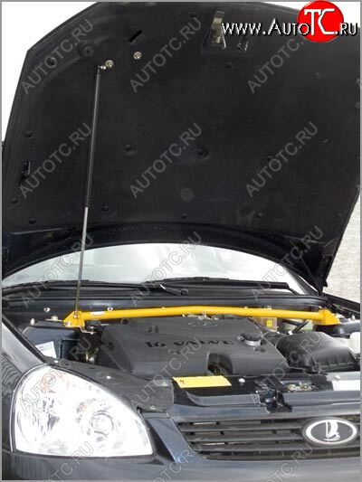 1 649 р. Упор капота Lada Priora ТехноМастер (без кронштейна) ТехноМастер 8231.0400.04  с доставкой в г. Кемерово