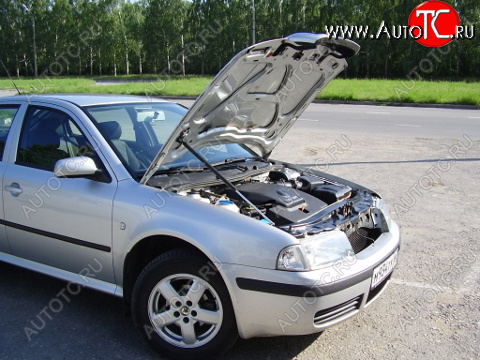 2 699 р. Упор капота Skoda Octavia Tour (1996-2011) ТехноМастер ТехноМастер 8231.5300.04  с доставкой в г. Кемерово