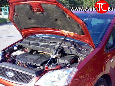 2 699 р. Упор капота Ford Focus C-Max (2003-2010) ТехноМастер ТехноМастер 8231.5500.04  с доставкой в г. Кемерово